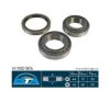 BTA H19001BTA Wheel Bearing Kit